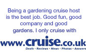 cruise