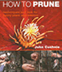 How to Prune